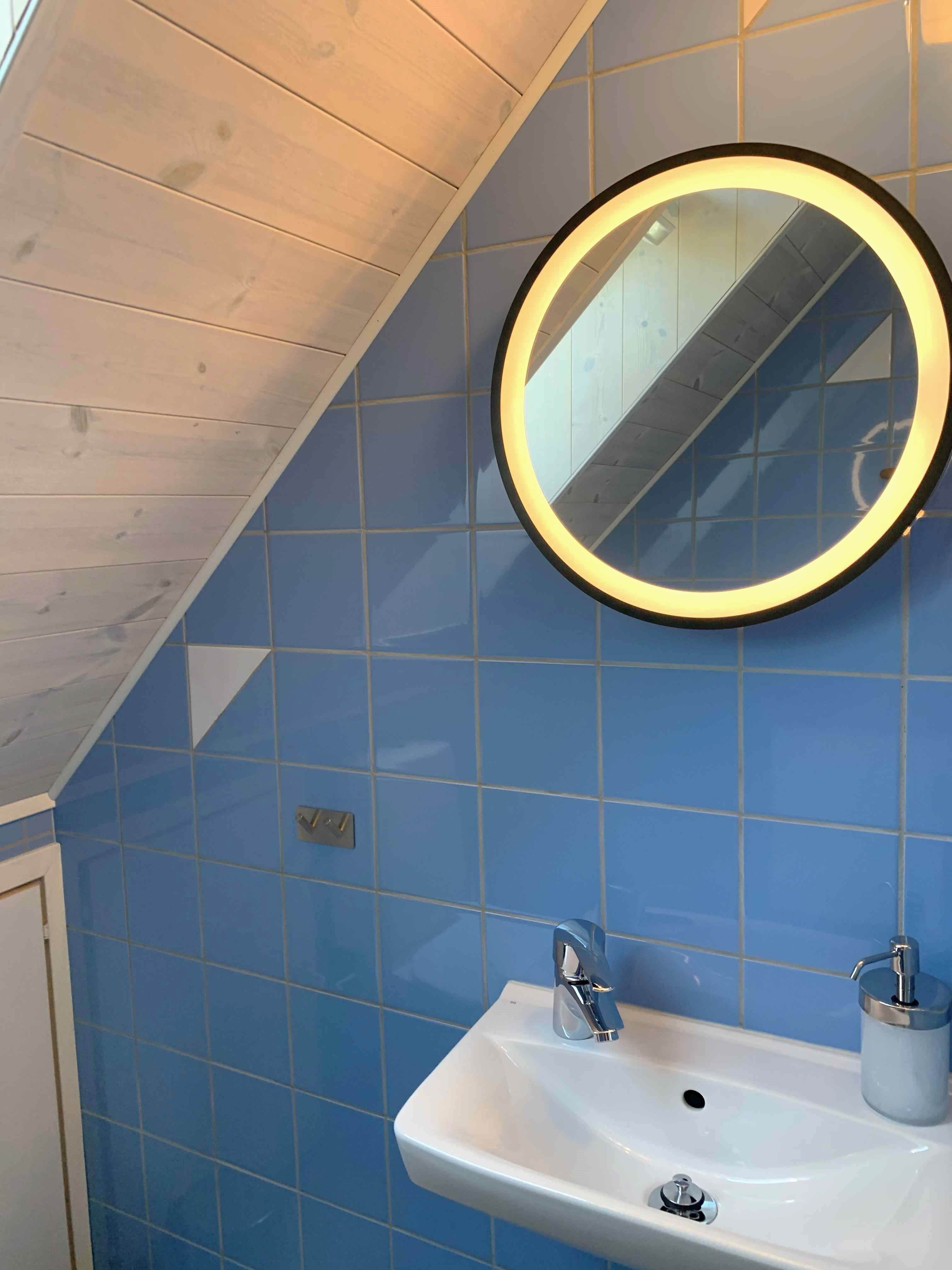 Lilla wc spegel